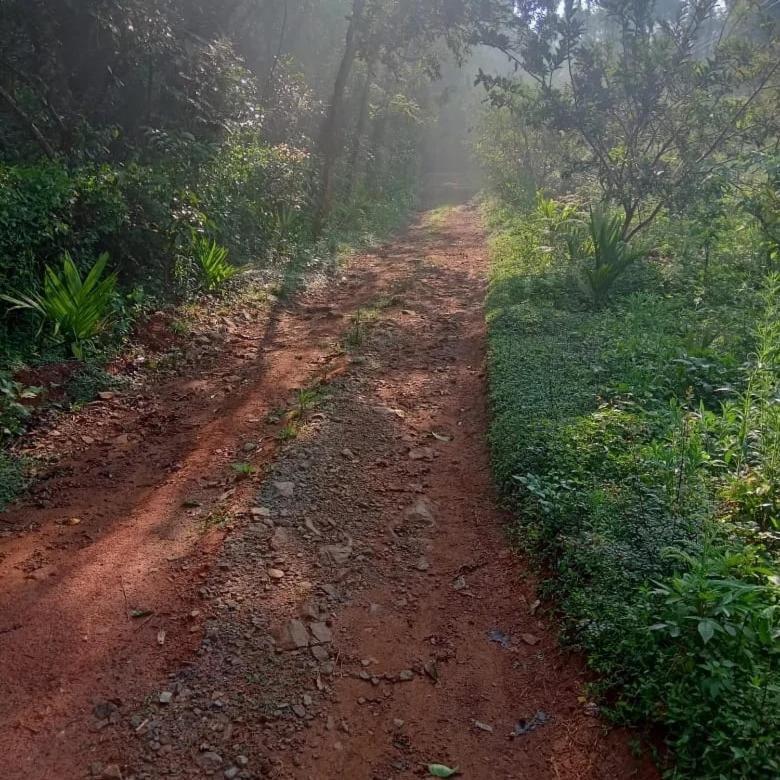 Coorg Coffee Park Farmstay Somvārpet Zewnętrze zdjęcie
