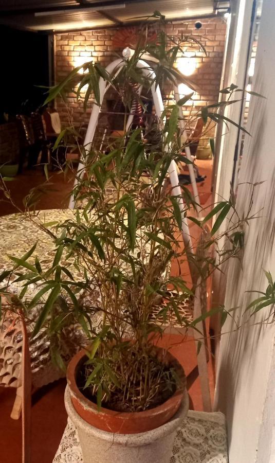Coorg Coffee Park Farmstay Somvārpet Zewnętrze zdjęcie
