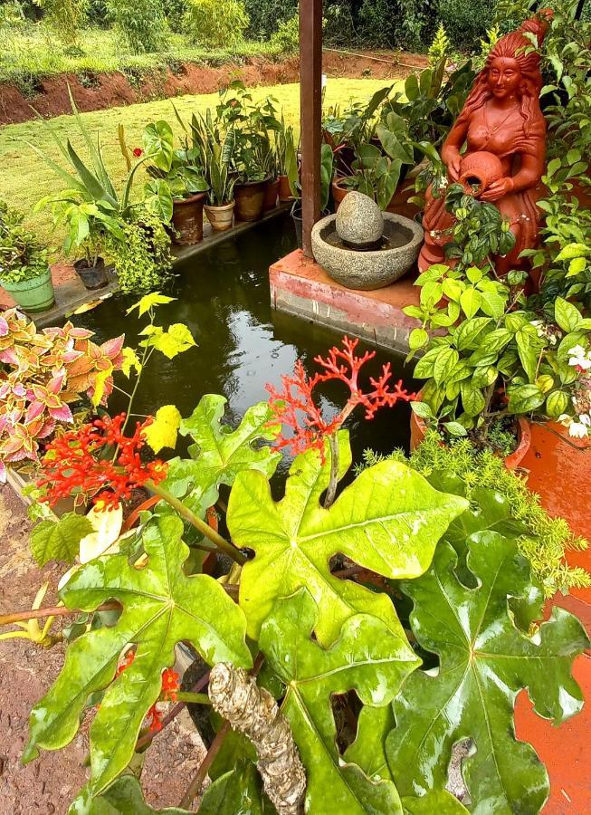 Coorg Coffee Park Farmstay Somvārpet Zewnętrze zdjęcie