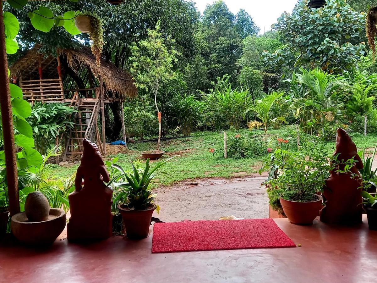 Coorg Coffee Park Farmstay Somvārpet Zewnętrze zdjęcie