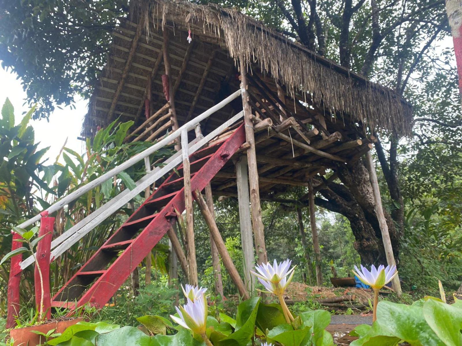 Coorg Coffee Park Farmstay Somvārpet Zewnętrze zdjęcie