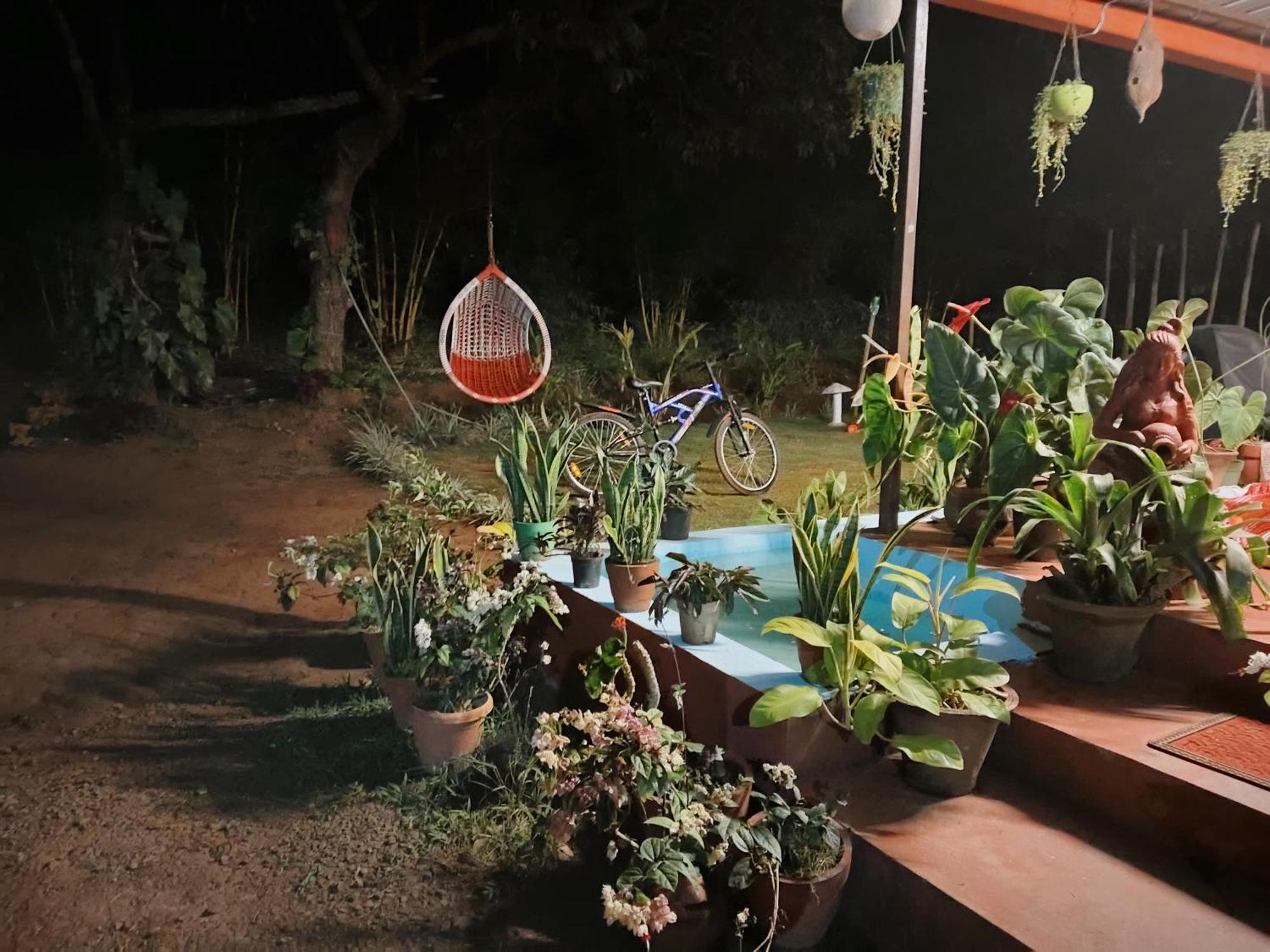 Coorg Coffee Park Farmstay Somvārpet Zewnętrze zdjęcie